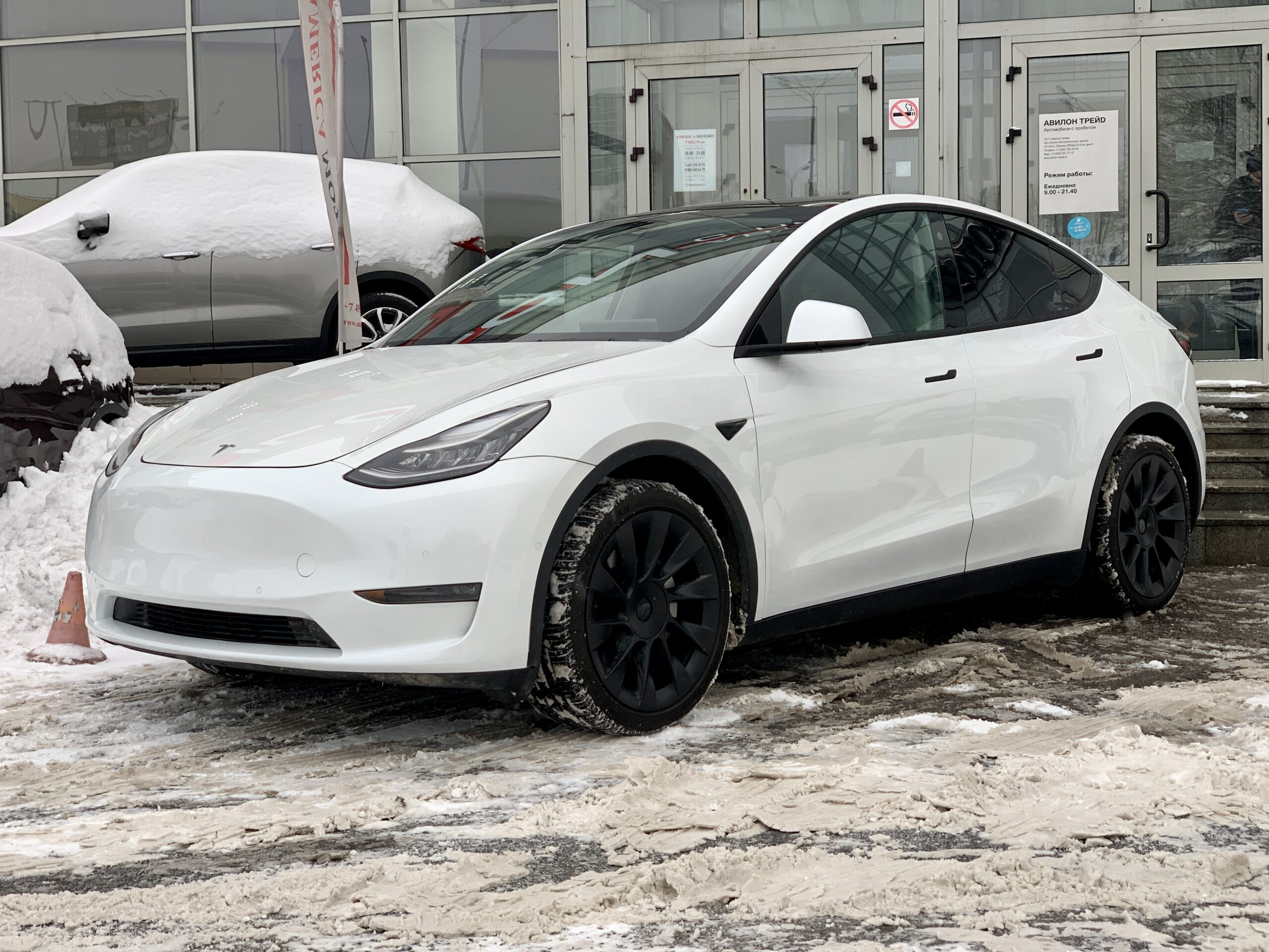 Tesla MODEL Y